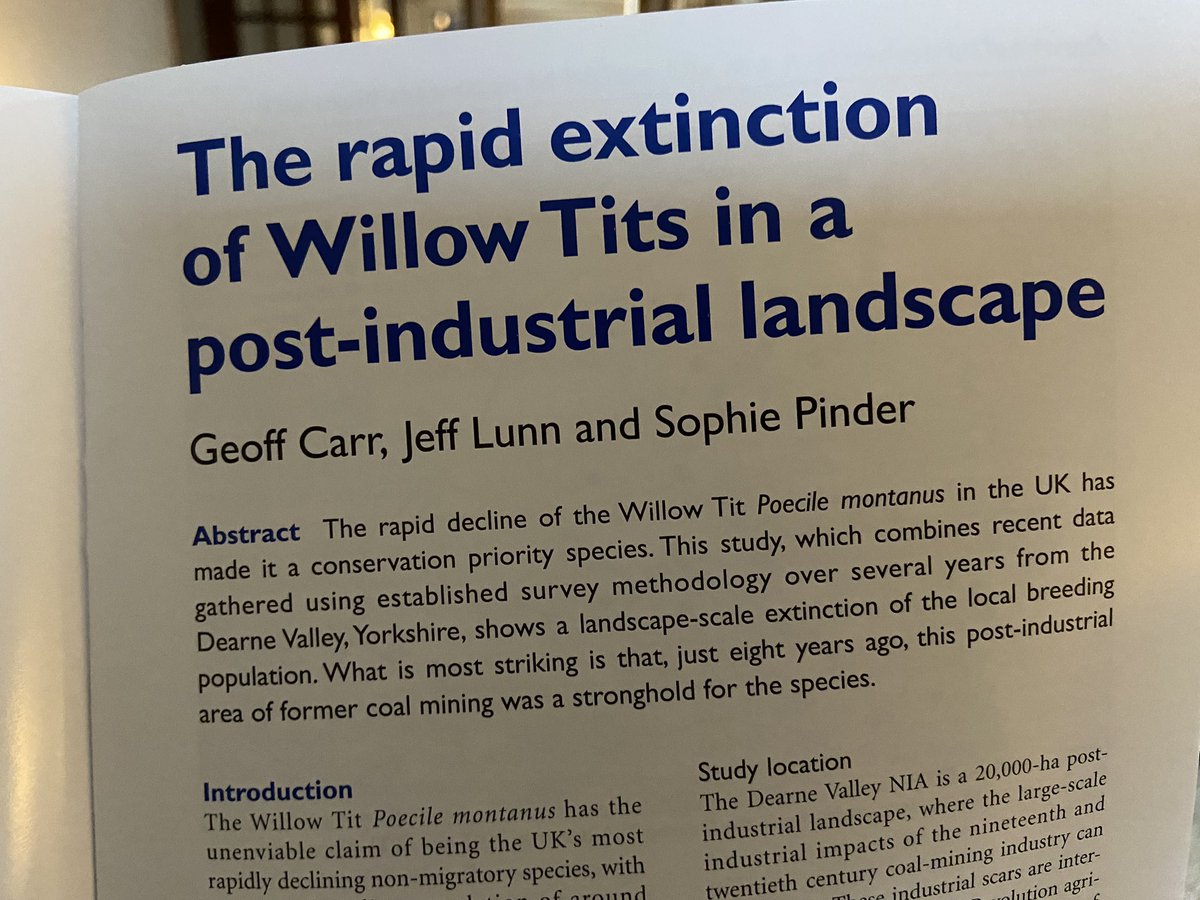 We’re lucky to see Willow Tits locally. But in this study in the latest @britishbirds the population went from 70 territories to zero in a few years. No suggestion that habitat change or competition from other species was the cause. What’s going on I wonder?