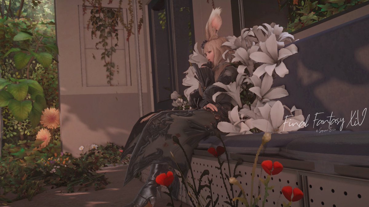 (no one comes to her)

⚐#ChihuaHousing 
#ヴィエラ┆#FF14SS