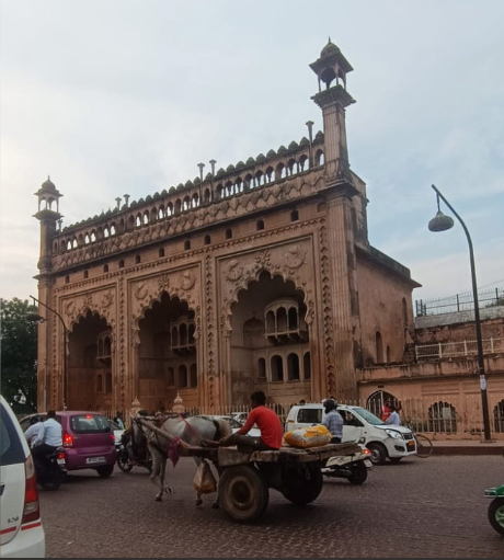 ndtv's tweet photo. #Blog | Museum In Zoo, Tehzeeb In Traffic: Lucknow Quirks A Delhiite Fell For - By: Saikat Bose (@saikat88) https://t.co/Yi4YI5Guho https://t.co/Qu4esBOzXF