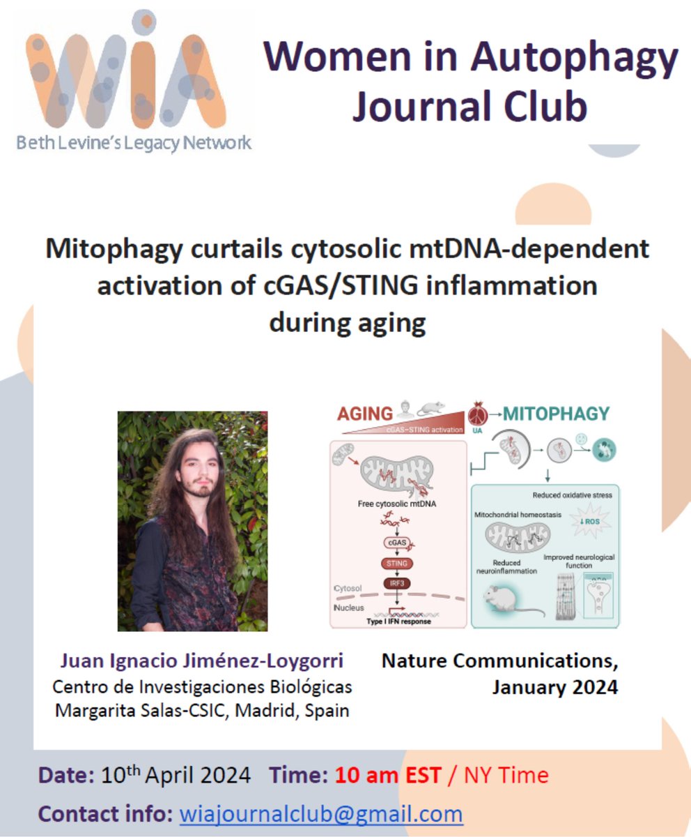 #JCAlert Our next Journal Club will be held on Wednesday, April 10th at 10 am EST. @InaquiConQ will present his latest publication titled 'Mitophagy curtails cytosolic mtDNA-dependent activation of cGAS/STING inflammation during aging' (Nat comms., Jan 2024)