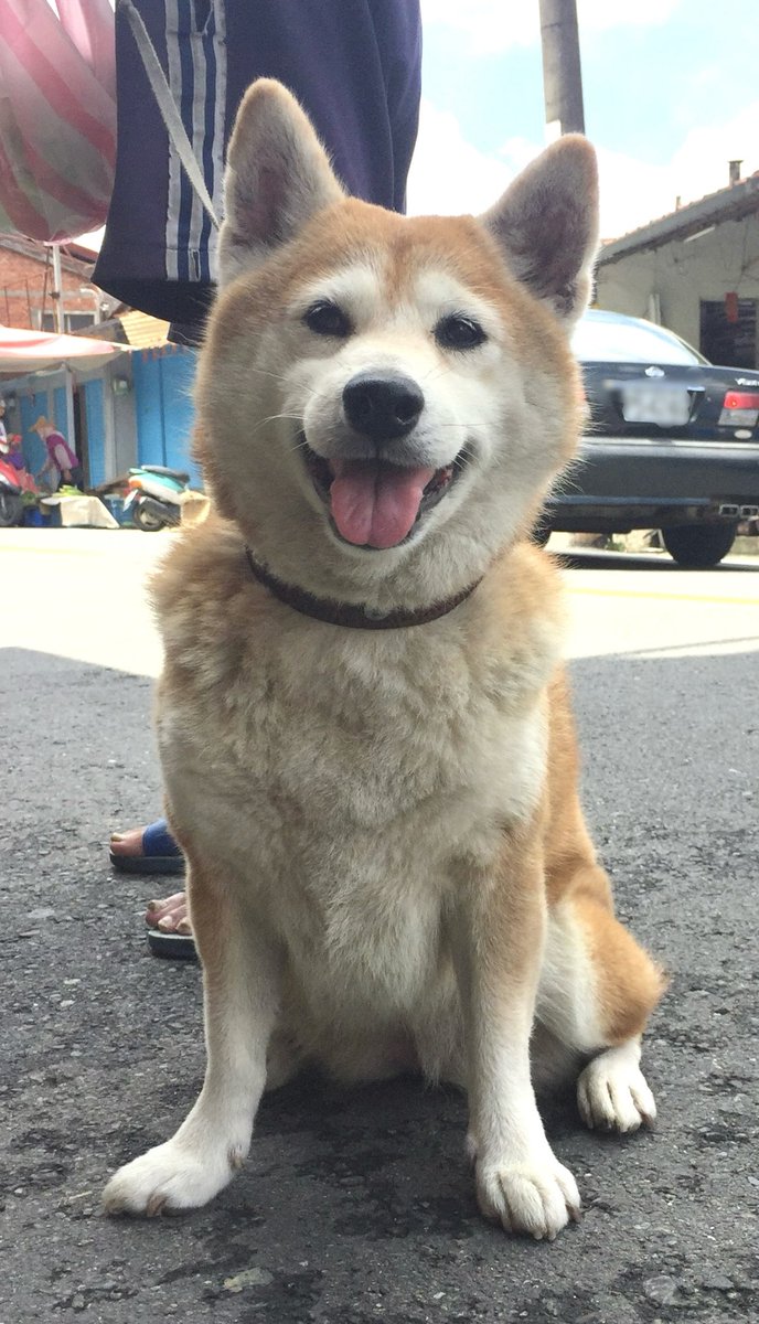 小乖，姐姐還是好不習慣家裡沒看到妳的身影，沒有一天不思念妳
姐姐希望到時候在彩虹橋的那端可以再次與妳相遇🌈