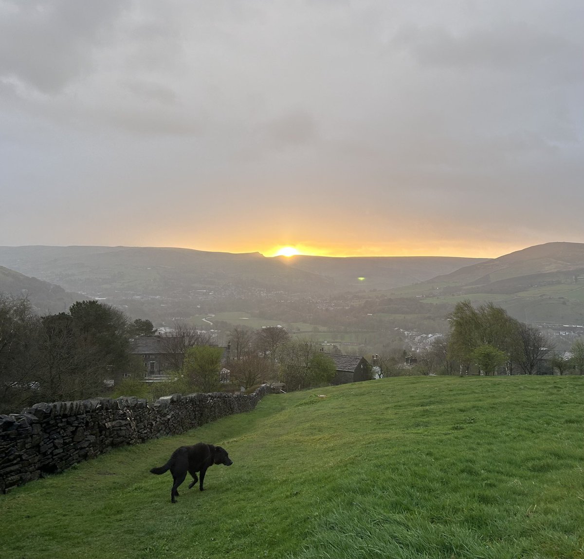 andyb066's tweet photo. Running rest day @runningpunks Had a sneak preview of the sun on this mornings Beastie Boy walk before the dark clouds took over and it we were soaking wet through…….again #muddymilesformegs #runningpunks #runningpunk #walkingpunk https://t.co/locIAwRycg