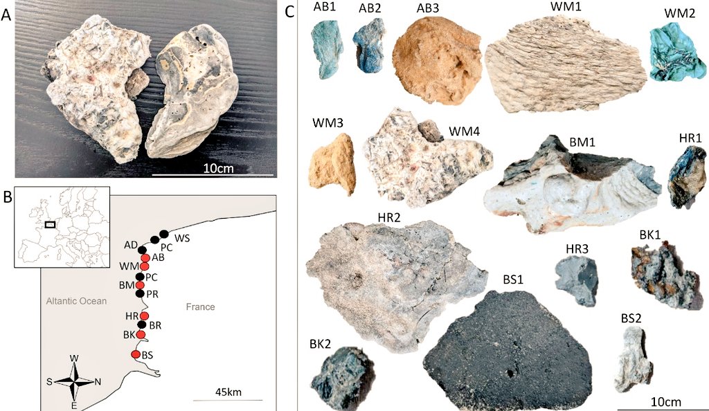 📢First evidence that #pyroplastics have distinct biological & ecological effects on #biodiversity than those triggered by non-burnt plastics sciencedirect.com/science/articl… #plasticpollution @LOG_labo @UMR_BOREA @Rhodes_Uni @univ_lille @Universite_Caen #plasticpollution #microplastic