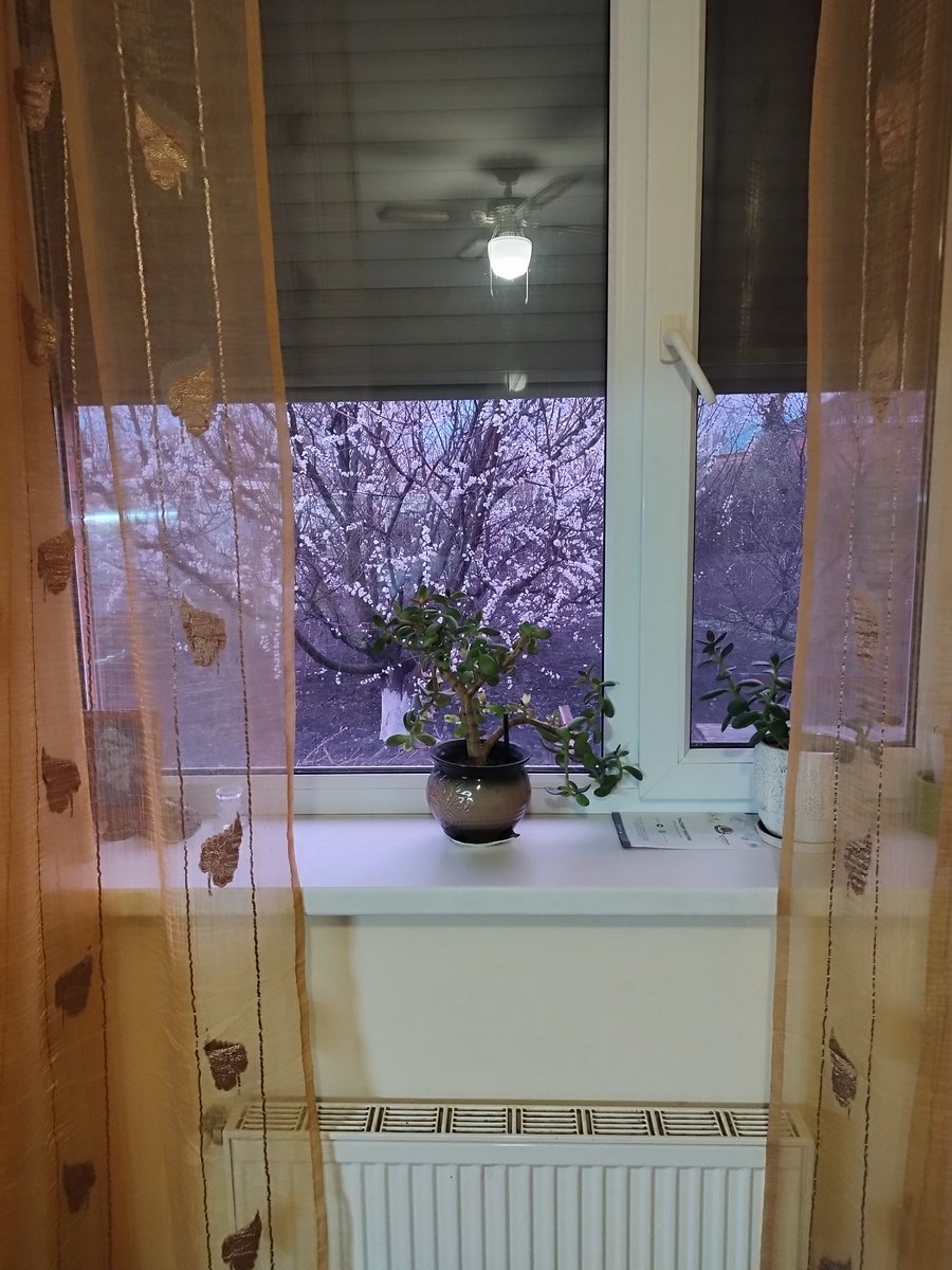 Светлана Николаевна (@svetaychik) on Twitter photo 