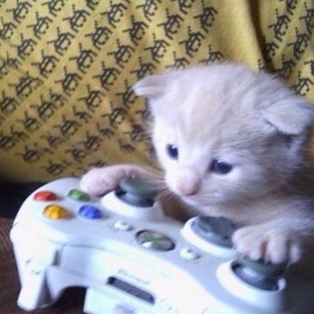 gamer