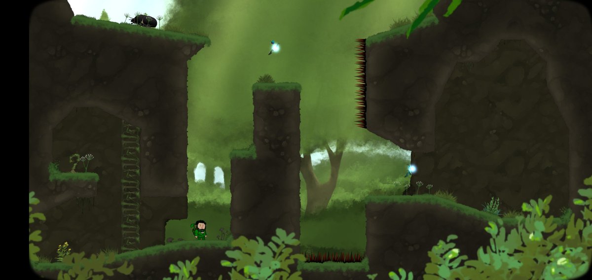 Adolio 🌱 tweet media