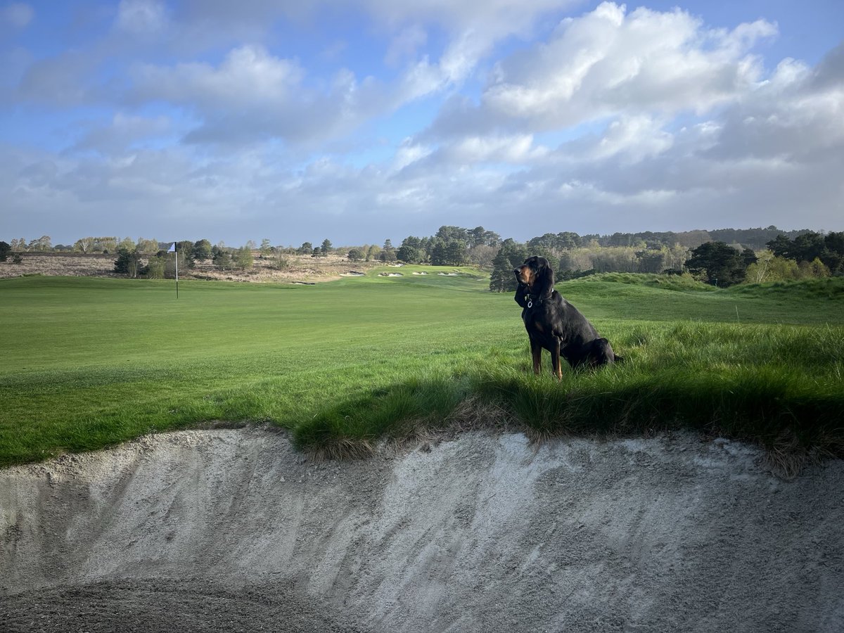 Paul Staples tweet media