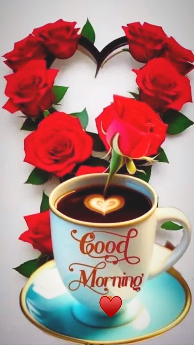 Einen schönen Sonnigen guten Morgen ☀️ wünsche ich euch meine Lieben 🥰 ☕️🌹 & einen wundervollen Sonntag ☕️🌹😘❤️