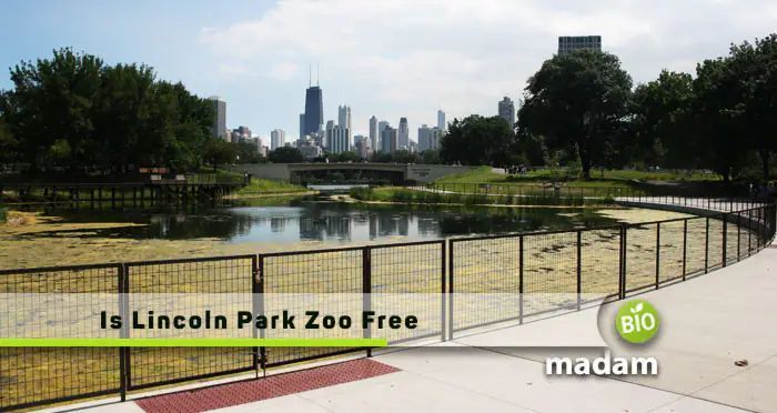 Is Lincoln Park Zoo Free' Explore the free admission policy at Lincoln Park Zoo and discover the best time to visit. Don't miss out on this family-friendly attraction! #LincolnParkZoo #FreeAdmission #FamilyFun #ExploreChicago. Click the link biomadam.com/is-lincoln-par… 🦁🌿🐒
