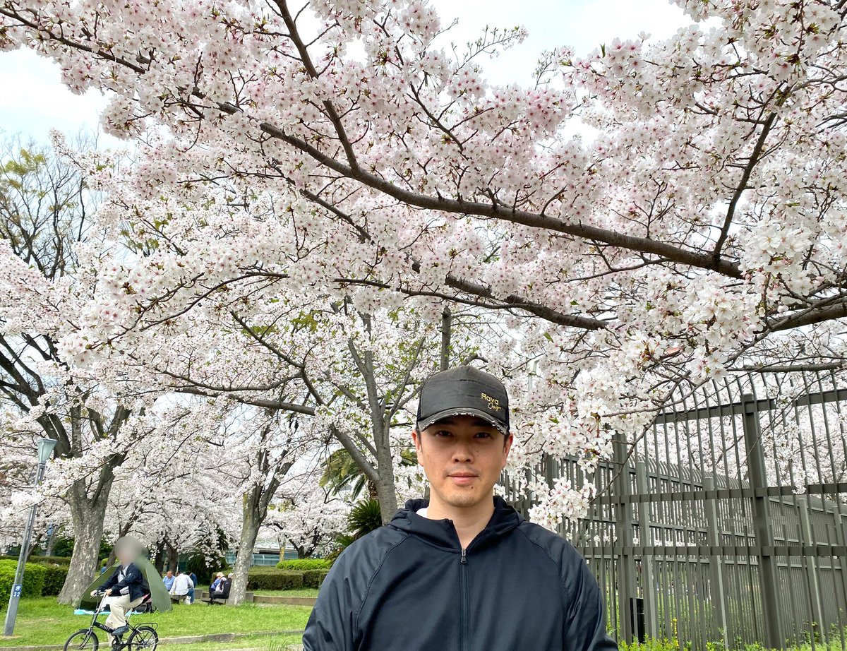 桜満開、なう。