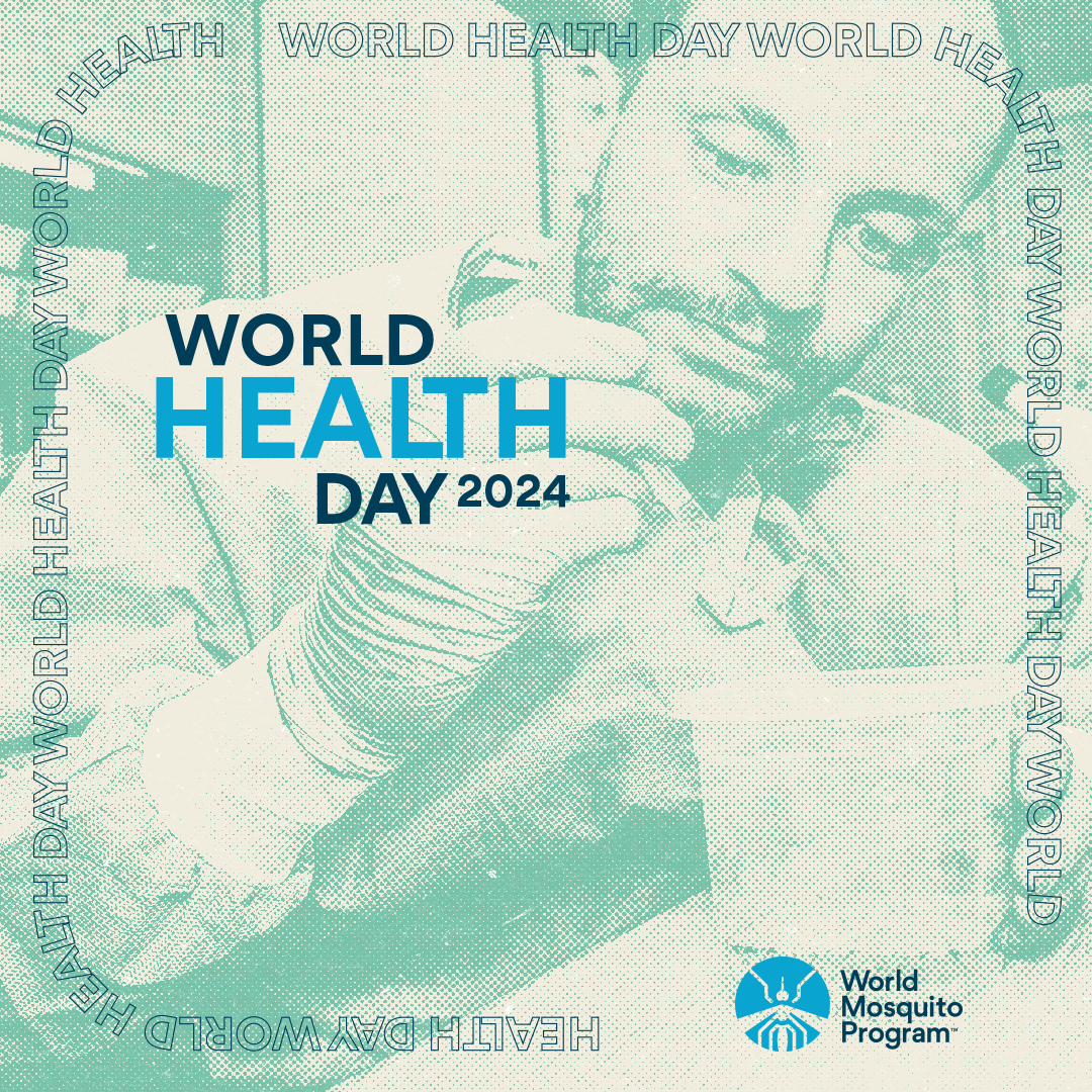 'My health, my right'—this #WorldHealthDay, let's remember those fighting diseases like dengue and commit to making health a universal right, not a privilege. worldmosquitoprogram.org/en/news-storie… #WeWelcomeWolbachia