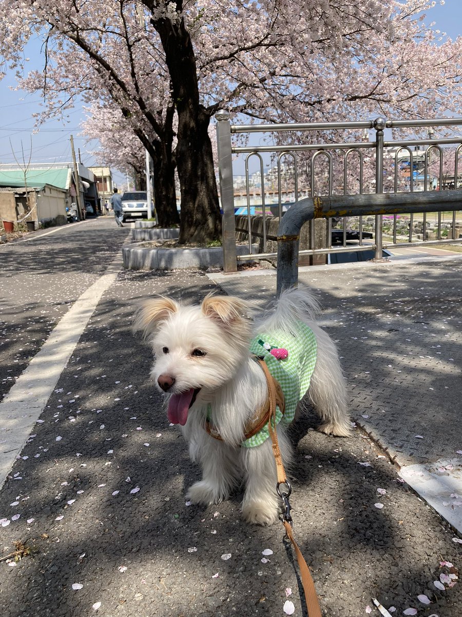 니가 우스면 나도 조아 😍