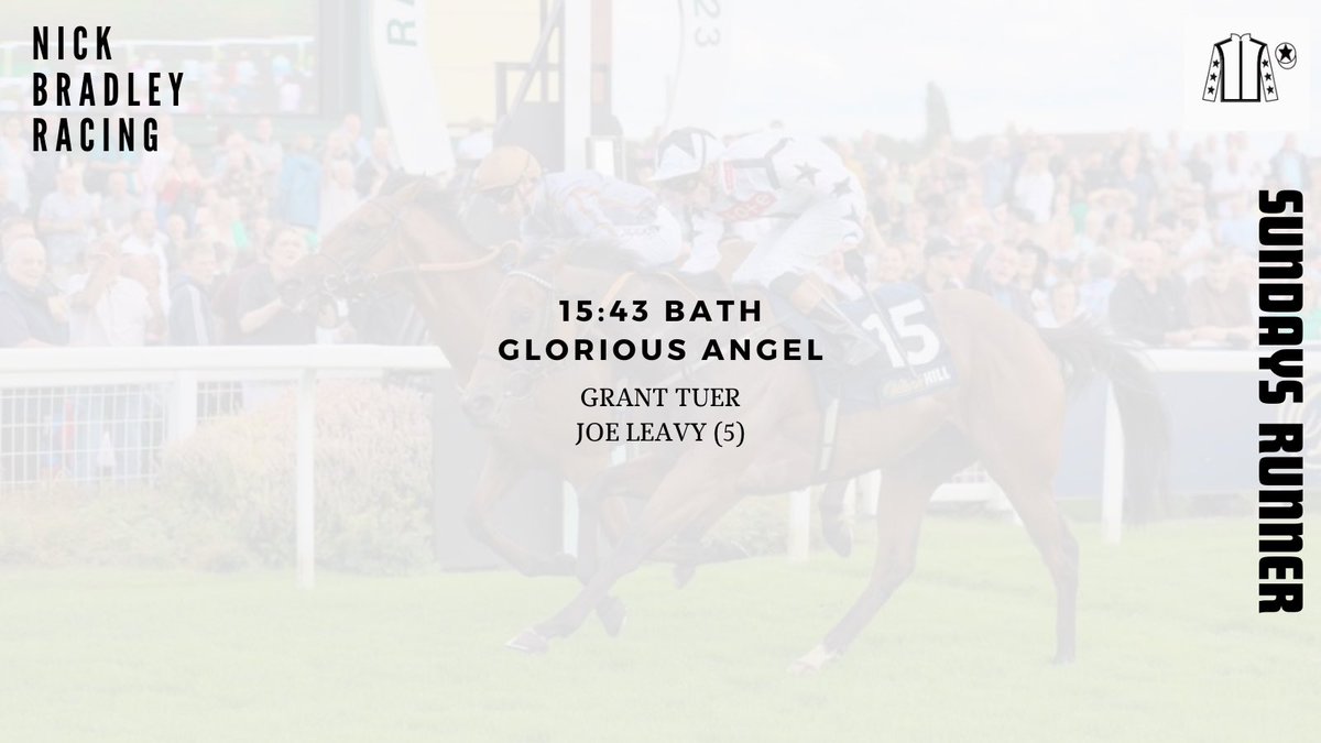 Glorious Angel runs this afternoon at @BathRacecourse for @granttuerracing with @Joeleavy05 taking the ride. Our filly is in form and she’ll enjoy the testing conditions. We’ll be hoping to bring home a share of the excellent prize money on offer. Good luck to her owners.