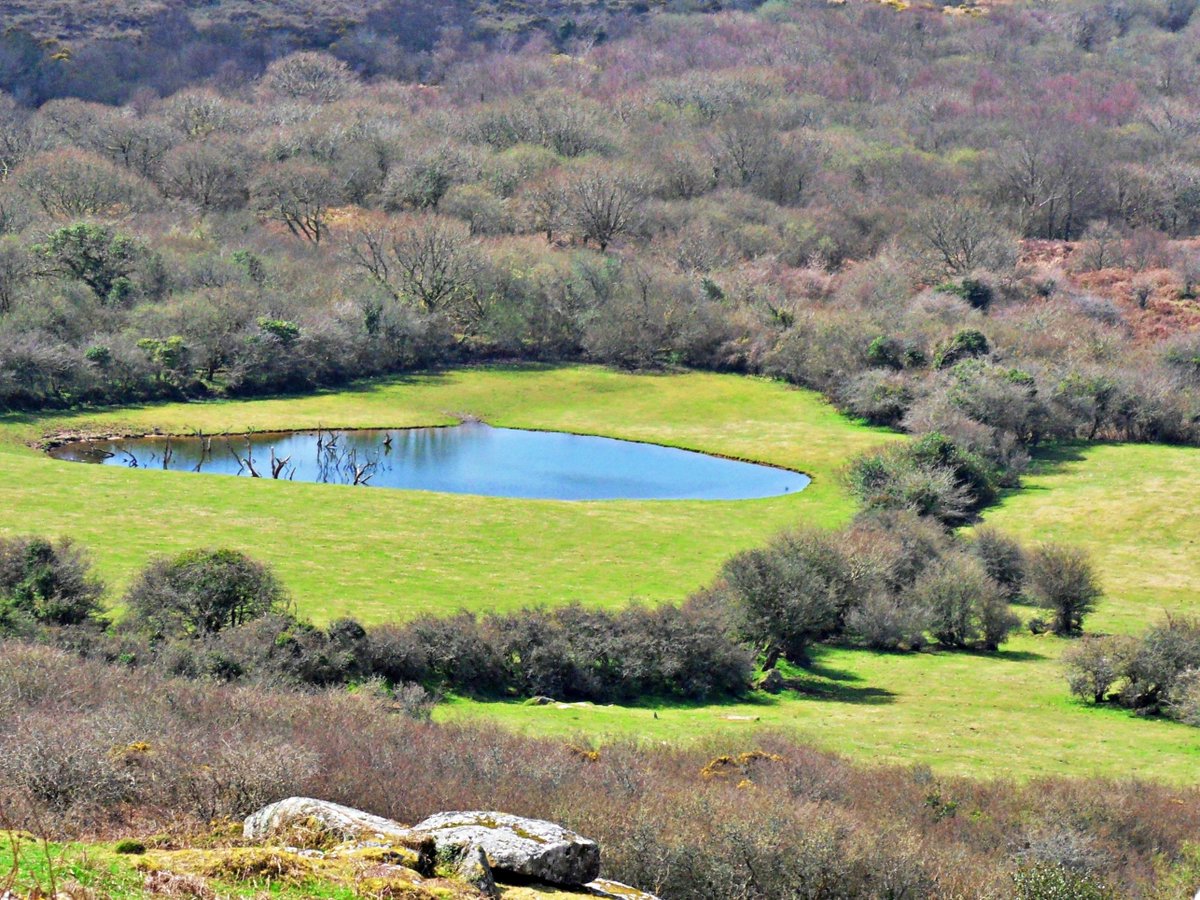 Looking down from Helman Tor, Cornwall. Happy Sunday!