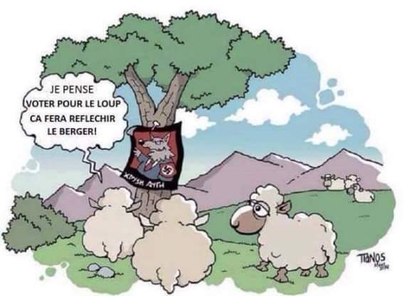 #VlaamsBelang #VB #ChezNous #PTB #PVDA 👇