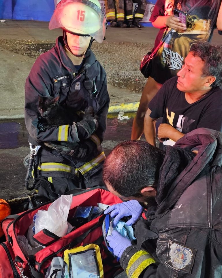cbsantiago's tweet photo. 🔴 AHORA: Voluntarios de @13Providencia y @15feuerwehr rescataron y atendieron a felino lesionado durante la 3ª Alarma de #Incendio en calles San Francisco y Coquimbo, #Santiago.
@Comandantecbs
#EmergenciasCBS
#BomberosSantiago https://t.co/puLVHQX8zn