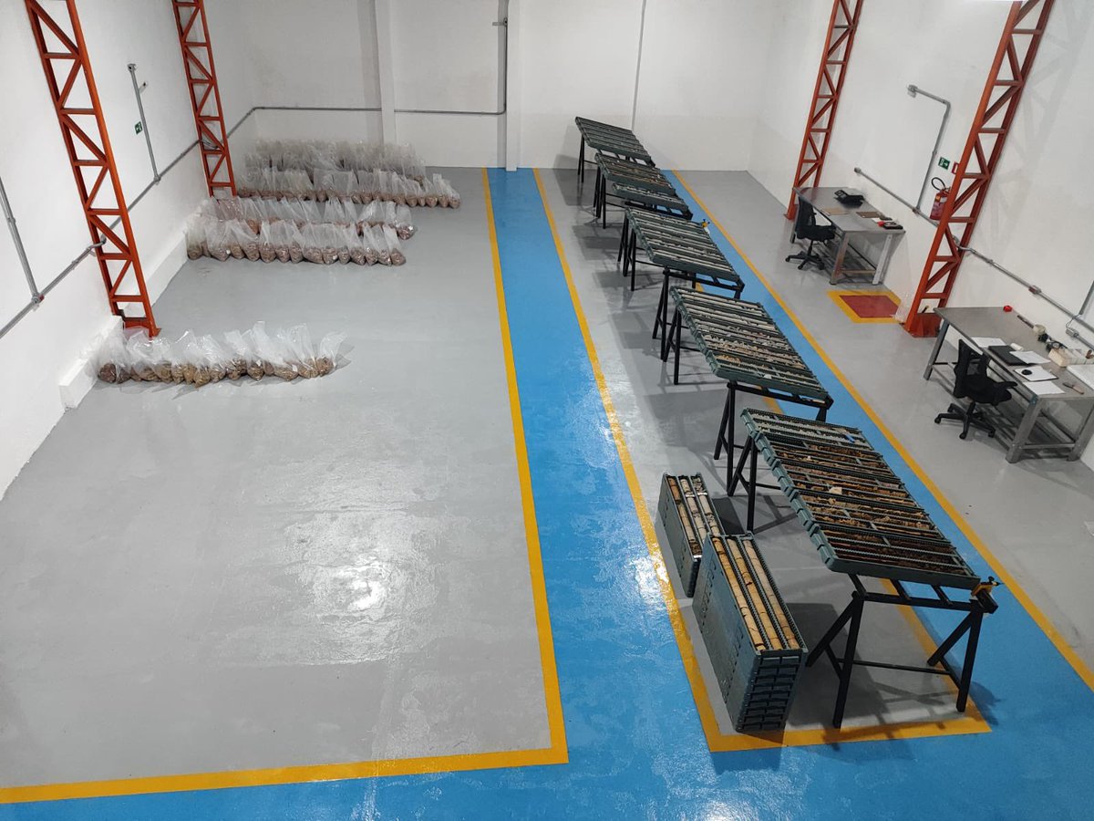 Viridis_VMM's tweet photo. #Picsoftheweek
Viridis $VMM is currently in full swing conducting Auger, RC, and Diamond drilling at the Colossus Ionic Clay Project in Brazil.

Stay tuned for updates on our exciting rare earth exploration journey!

#Viridis #VMM #TeamViridis #BrazilDiaries #Colossus #Project 🇧🇷 https://t.co/P2QvZQPRYp