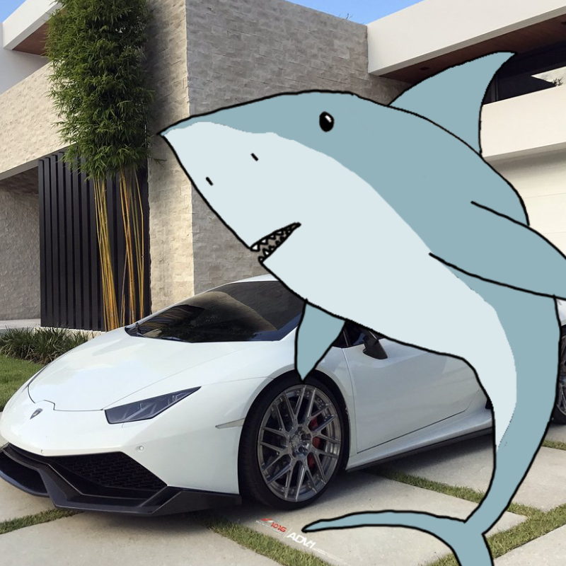 SherkWeek's tweet photo. $SHERK

Fun Fact Sherks Can't Drive, But we still own a Lambo. https://t.co/jea34zKzr0