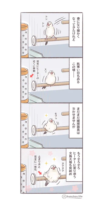 この時期冷え込むこともあるのでまだまだ暖房器具が欠かせませんが、もうそろそろこんな風景も見納め
#文鳥 
#4コマ漫画 