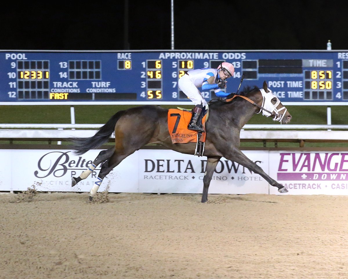 Kapuna accelerates to win the $100,000 Evangeline Mile in impressive fashion!

Jockey- Mitchell Murrill
Trainer- W. Bret Calhoun
Owner- Wayne Sanders and Highland Training Center (Lawrence Hirsch)

Photo- Coady Photography
#IlsSontPartis