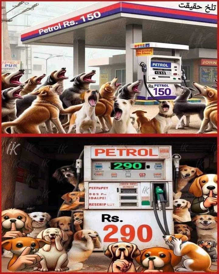 Qasim Khan Suri tweet media