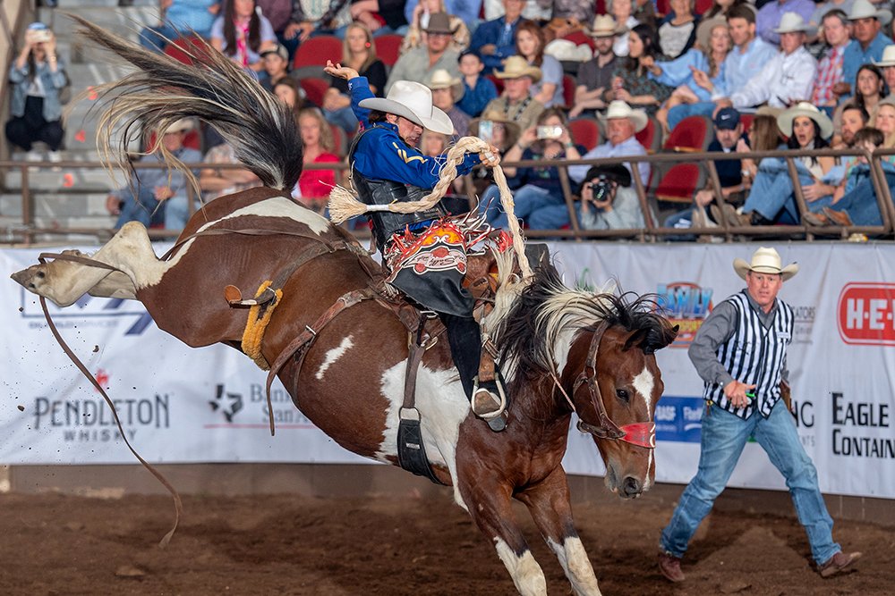 TwisTED Rodeo tweet media