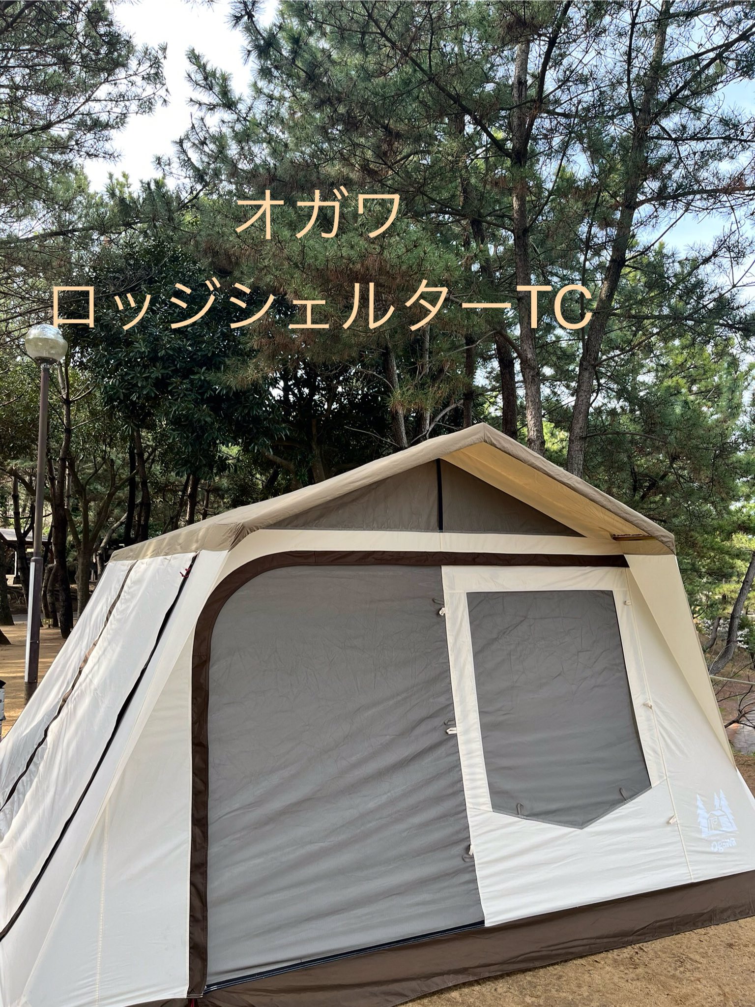 オガワ　ロッジシェルターTC ①TCフライシートのみ 限定品】ロッジシェルターT/C フライシート・ひさしポール発売の