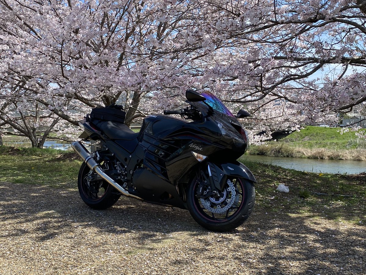 TGz3aek's tweet photo. 桜🌸とツーショット！
満開！！
#kawasaki #zx14r #桜  #バイクのある風景  #バイク乗りと繋がりたい https://t.co/FHNF42pb7U