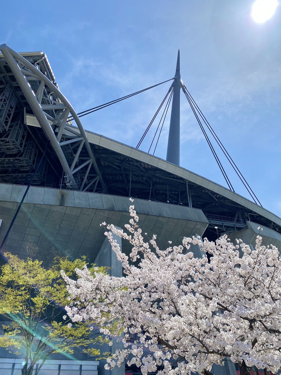 春爛漫🌸
試合も見どころ満載サクラサクで行こまい
#豊田スタジアム #grampus