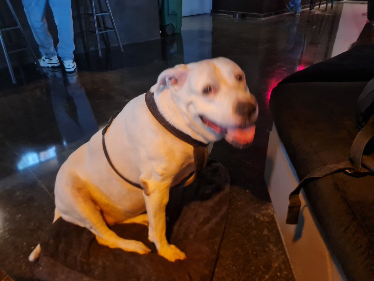 KoS | coko rodriguez NG - it's time tweet media