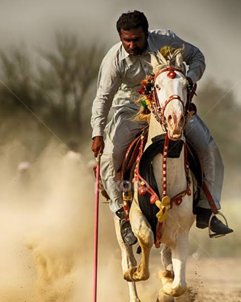 Traditional Tentpegging in Pakistan. #BeautifulHorsesOfPakistan #horses #pakistan #tentpegging #team #HorseRacing #HorseRacingTips #horsepower #horseriding #horselife #horsepainting #horseshoe #ilovemyhorse #horsemanship #horseracing #horsejumping