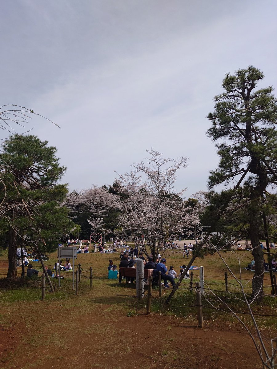 厚木市にある飯山温泉の桜まつり🌸
今日が最終日😀
花より団子になっちゃうわ😆