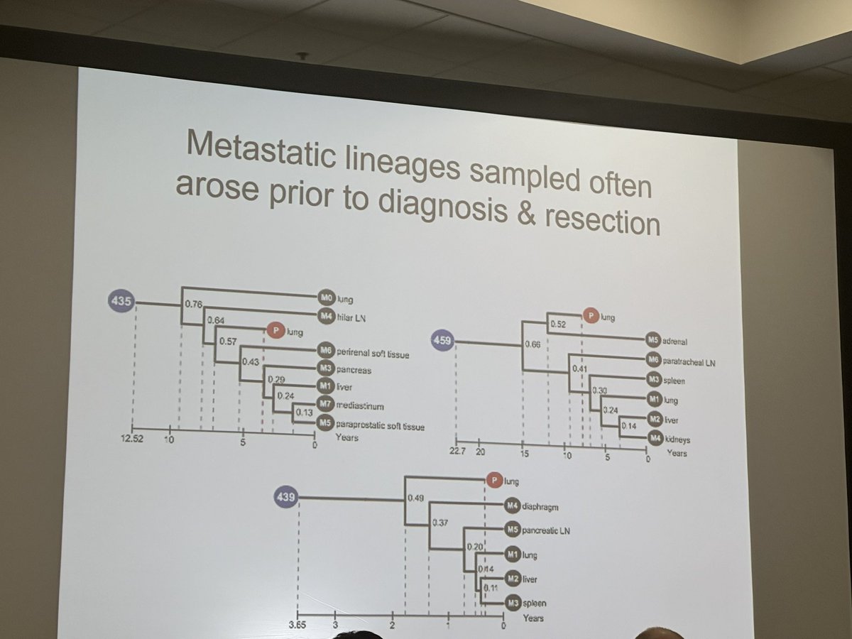 Yale Cancer Center (@yalecancer) on Twitter photo .<a href="/JeffTownsend/">Jeffrey Townsend</a> discussed how the evolution of #cancer is rarely linear, but a branching model that influences progression #AACR24 “Every one of our bodies has a tree of history underlying every cell in our body.” #phylogenetics <a href="/AACR/">AACR</a> <a href="/SmilowCancer/">Smilow Cancer Hospital</a> <a href="/YaleMed/">Yale School of Medicine</a> <a href="/YaleSPH/">Yale School of Public Health</a> .<a href="/JeffTownsend/">Jeffrey Townsend</a> discussed how the evolution of #cancer is rarely linear, but a branching model that influences progression #AACR24 “Every one of our bodies has a tree of history underlying every cell in our body.” #phylogenetics <a href="/AACR/">AACR</a> <a href="/SmilowCancer/">Smilow Cancer Hospital</a> <a href="/YaleMed/">Yale School of Medicine</a> <a href="/YaleSPH/">Yale School of Public Health</a>