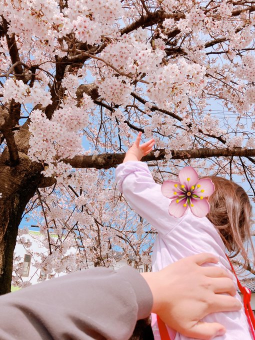 「桜 頭に花」のTwitter画像/イラスト(新着)｜2ページ目