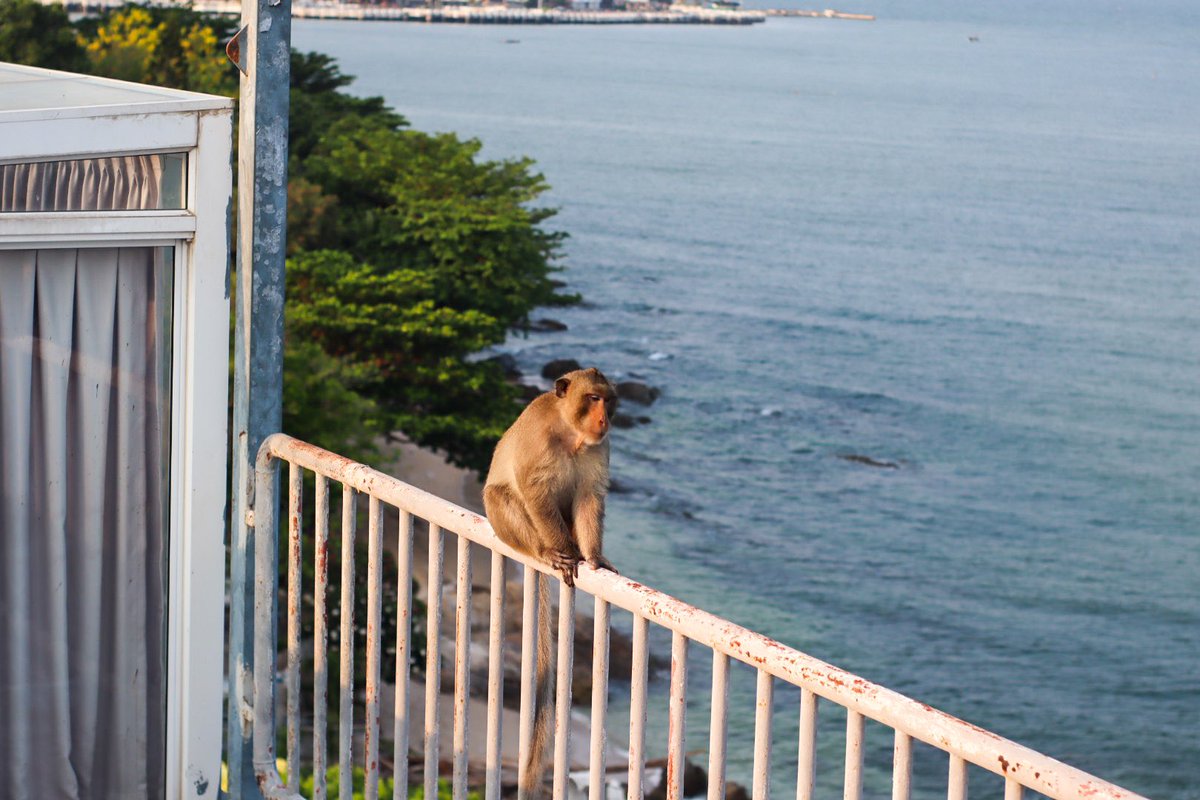 อยากจะชู้นิ้วกลางให้กับทุกเรื่องแต่
ทำได้เพียงชูมือขึ้นแล้วหมุนๆ

——————————-

#คำคม #คำคมชีวิต #คำคมความรู้สึก #แคปชั่นเด็ด #แคปชั่น #แคปชั่นโดนๆ #แคปชั่นภาษาอังกฤษ #แคปชั่นเด็ดๆ #ธรรมชาติ #ธรรมชาติบำบัด #วินเทจ #vintage