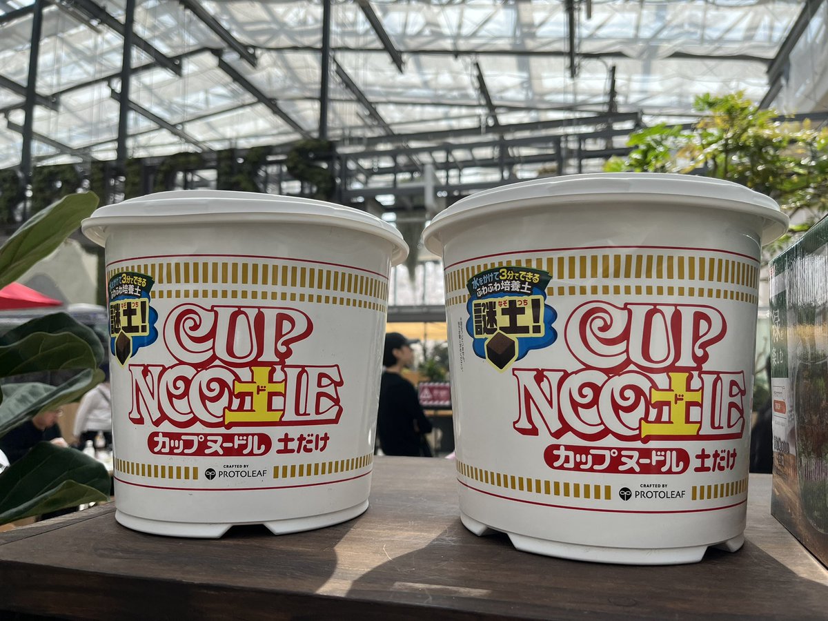 やちゃちゃ (@ptpork1) on Twitter photo 