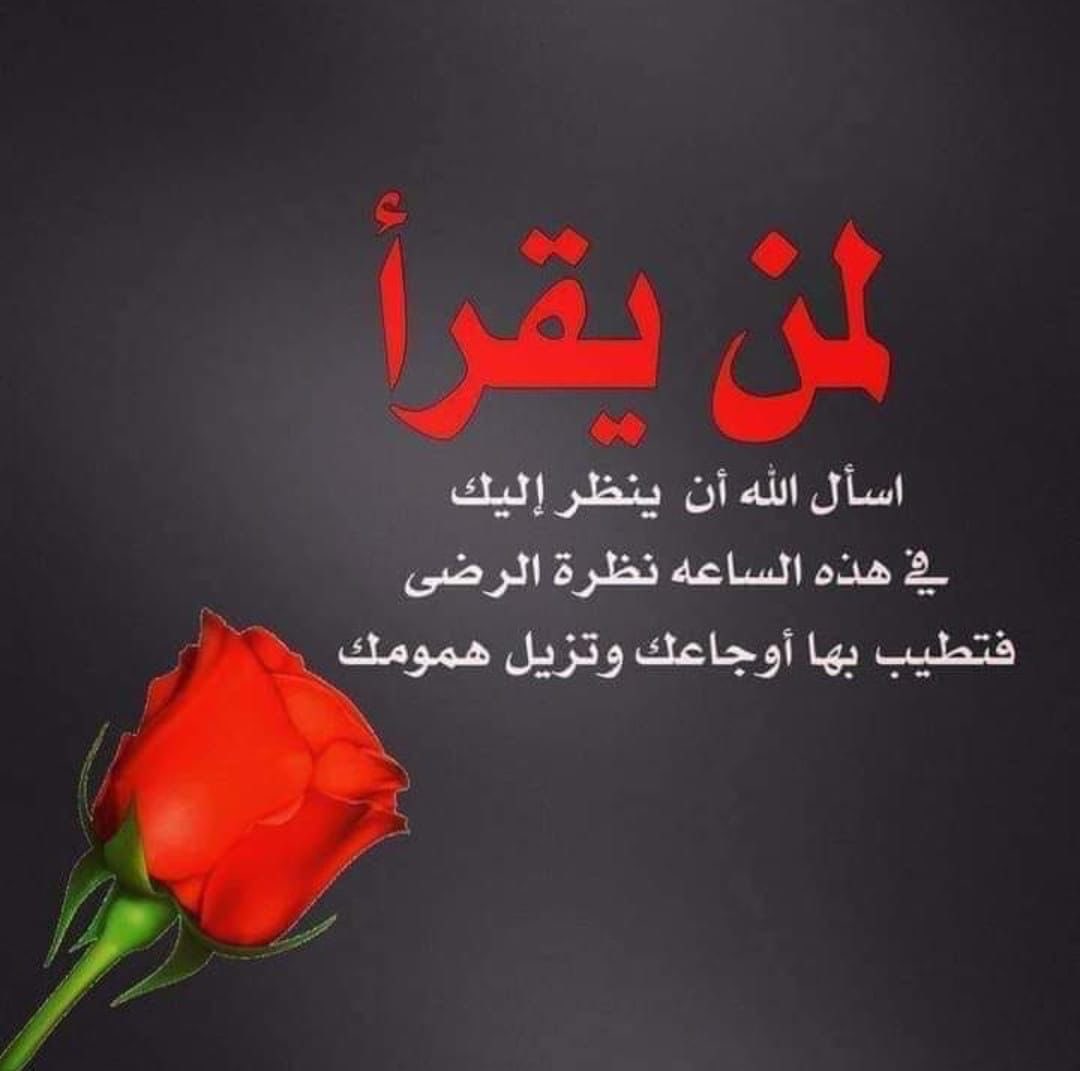 طالبة الغفران (@talebatalgofran) on Twitter photo 