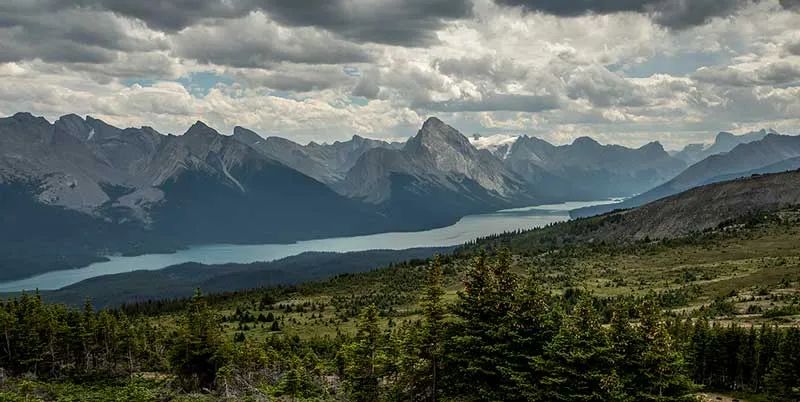 Découvrez cette rando depuis le lac Maligne dans les Rocheuses canadiennes vers le point de vue à 360° des Bald Hills 
#randonnéelacmaligne #baldhills #RandonnéeRocheusescanadiennes #RandonnéeCanada #Canada
buff.ly/3OZTurK