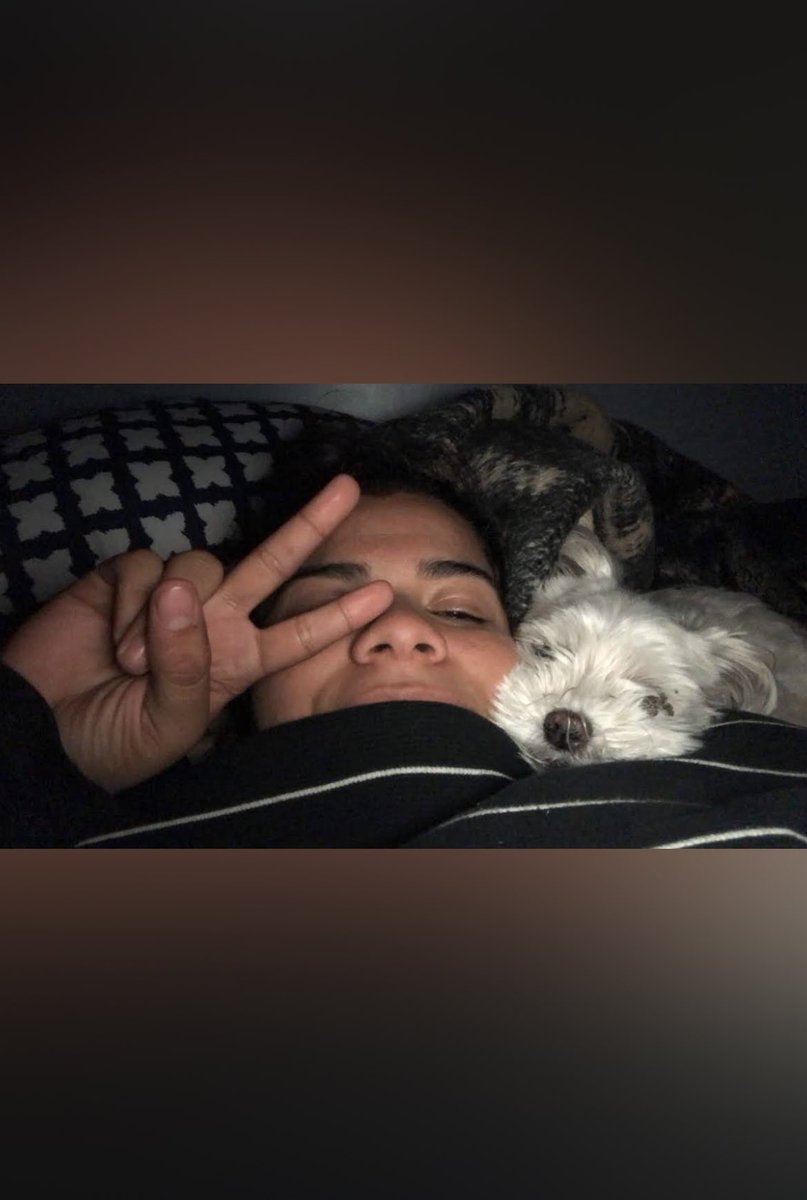 Nitzia_02's tweet photo. My love for you is timeless Pelucha ❤️ Thank you for 19 unforgettable years with you. I’ll miss you forever 🤍 https://t.co/Ni6G6U42Lc