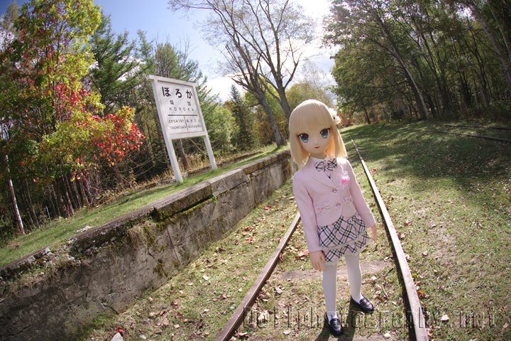 森の中に当時のまま駅の遺構が残っている不思議な空間です。
旧国鉄士幌線 幌加駅跡 – 美利香茂尻 dollphotography.net/?p=4363
#士幌線 #幌加駅 #廃線遺構 #pentax_da1017 #pentaxk1mkii #むにむに製作所 #むに面