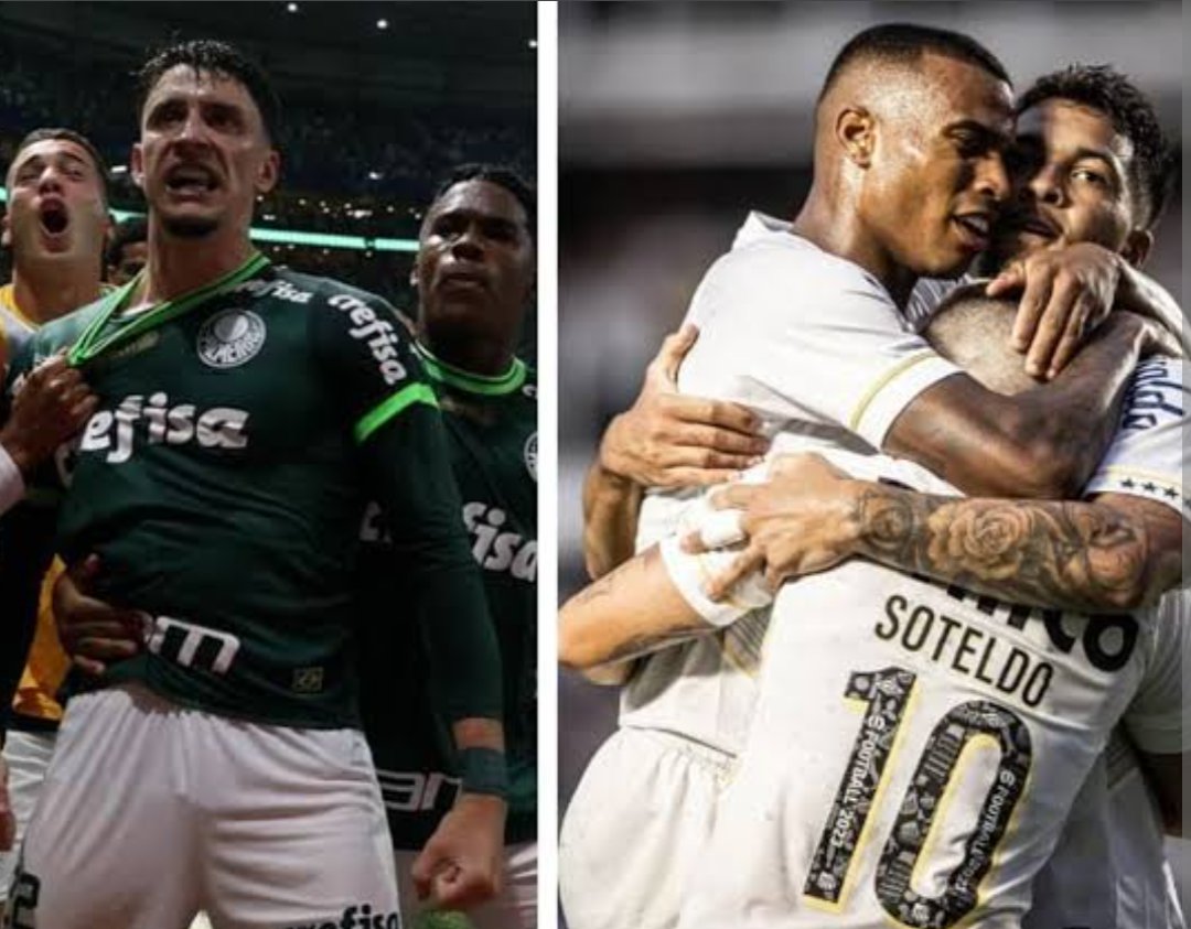 Palmeiras e Santos! Quem vai ser o campeão do Paulistão 2024? #palmeirasxsantos #Paulistão2024 #final @bzenfut