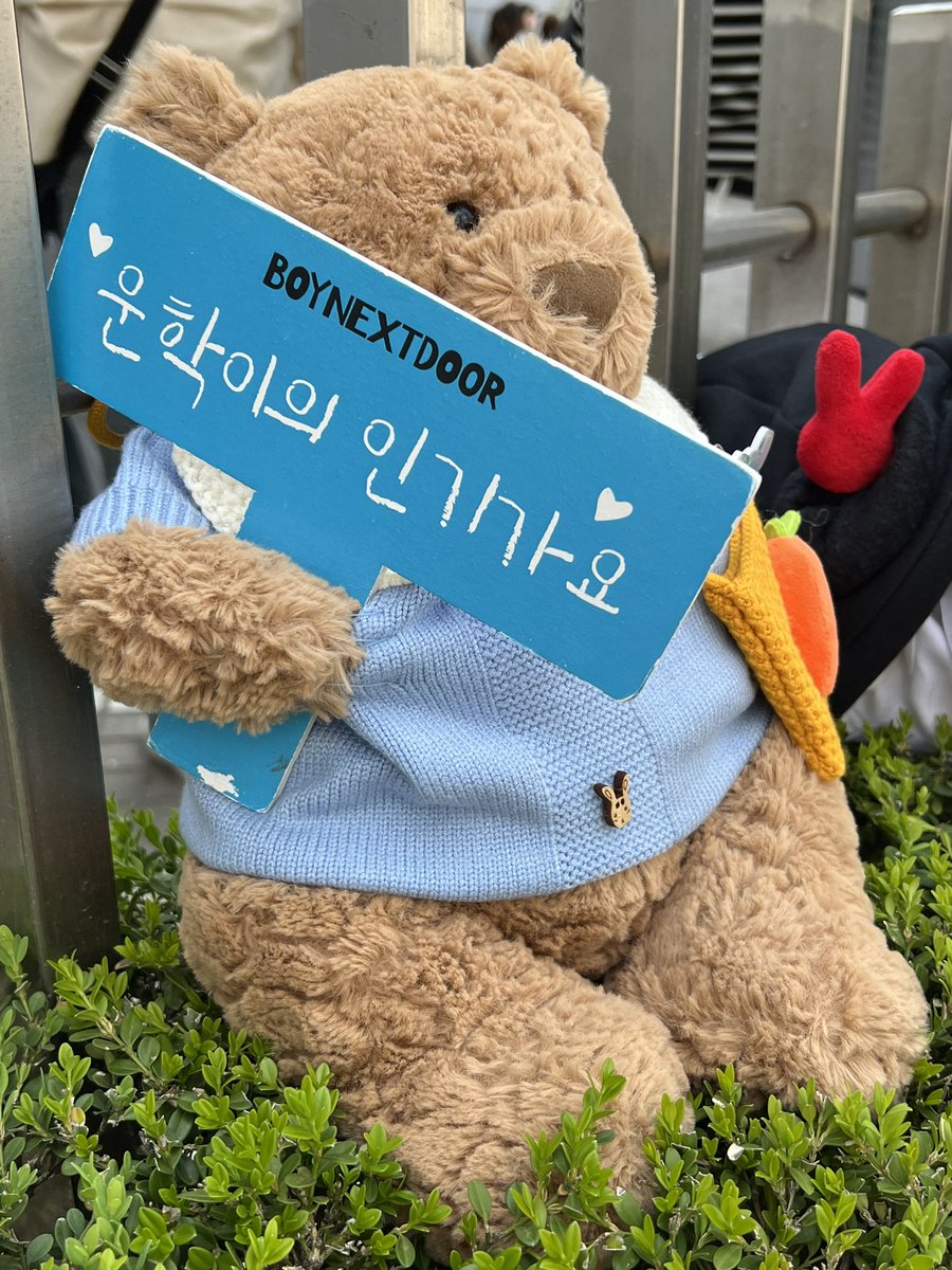 yamnextd00r's tweet photo. 귀 욥 다 ! https://t.co/WqLUH8PjAk