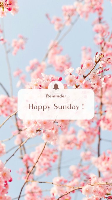 Have an amazing Sunday 🤗  I'm going to be ✅ONLINE✅ in about 1-2 hours ⏰ https://t.co/3QAFyiOZSf