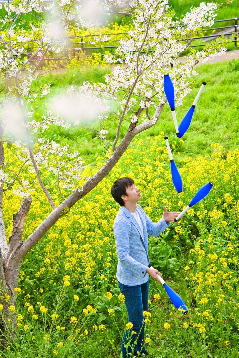 chikiportrait's tweet image. SPRING.  

Model : @ueda_juggling 
Location : Yoshimi Town

#juggling 
#balljuggling
#devilstick 
#diabolo
#clubjuggling 
#portrait 
#ポートレート 
#ちきぽとれ 
#しきあそび