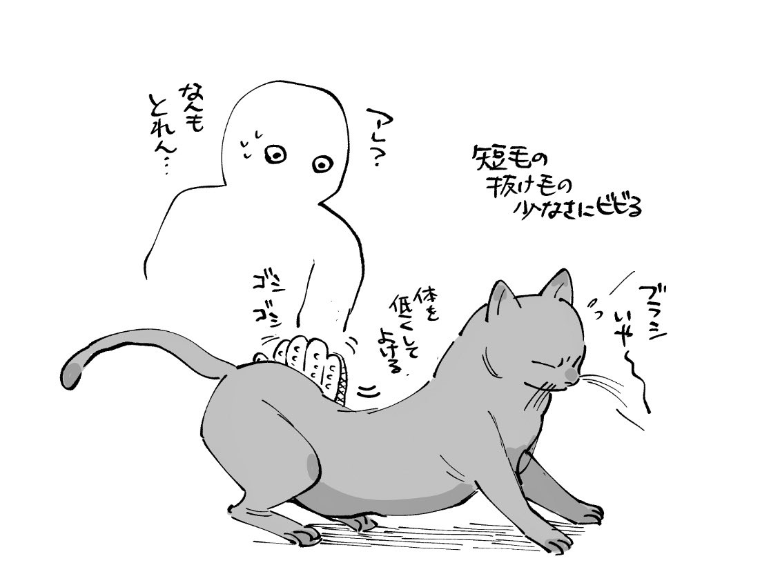 春といえば毛、の日記 