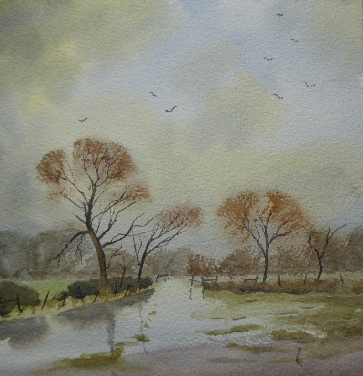 Given the weather, a watercolour of a flooded field seems appropriate. Painted along with Peter Cronin in his tutorial earlier in the week.
