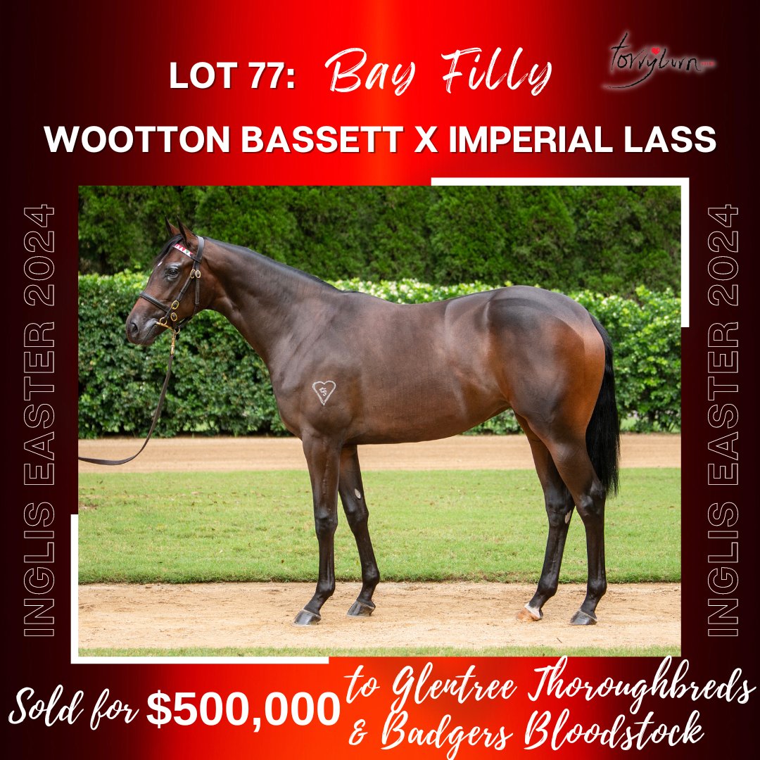Outstanding result for our well-related filly by @CoolmoreAus' Wootton Bassett out of the G1 performed Tavistock mare Imperial Lass (Lot 77), knocked down @inglis_sales Easter for $500,000 to @GlentreeTbreds and @badgersbs. #RasiedWithHeart❤️