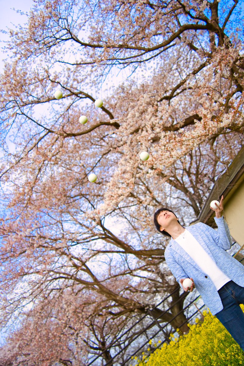 chikiportrait's tweet image. SPRING.  

Model : @ueda_juggling 
Location : Yoshimi Town

#juggling 
#balljuggling
#devilstick 
#diabolo
#clubjuggling 
#portrait 
#ポートレート 
#ちきぽとれ 
#しきあそび