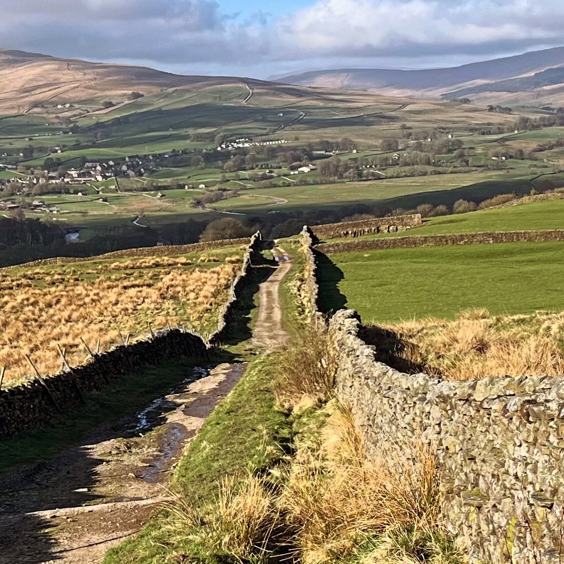 Photo of the day 

Shutt Lane, Wensleydale 

💚🤩💚

#yorkshiredales
#hiking
#hikingadventures 
#wensleydale