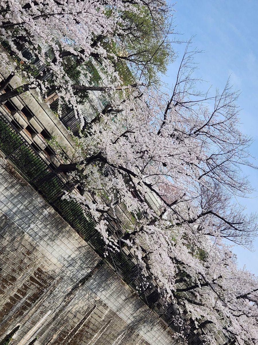 MIMICK_0310's tweet photo. https://t.co/08r9oPnO7h